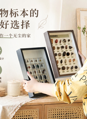 立体中空标本相框干花收纳展示