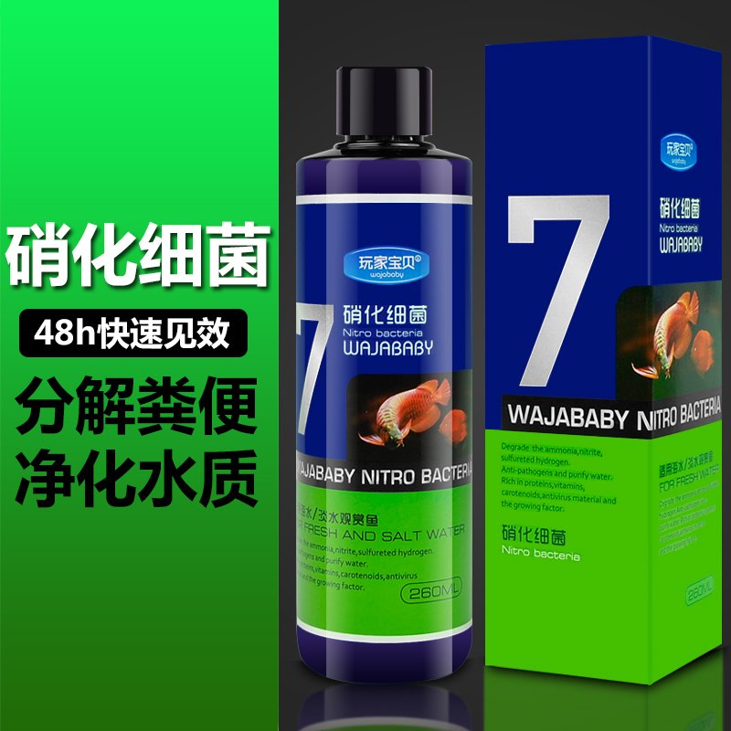 硝化细菌 鱼缸硝化菌水族硝化活菌 液态高浓度硝化菌种直接存活 - 图0