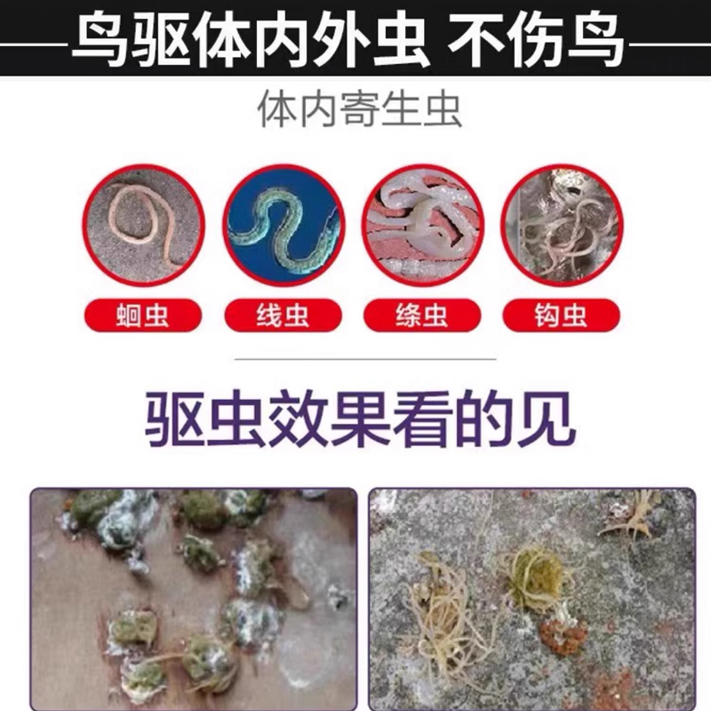 鹦鹉肠虫清体内驱虫打虫全虫清体内寄生不伤鸟通用粮食肠道健康 - 图1