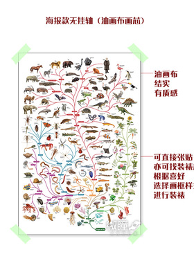 生命之树装饰画物种起源达尔文进化论海报动植物教育英文科普挂画