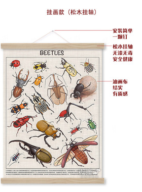 天牛装饰画自然科学甲虫种类英文科普画长戟大兜虫海报儿童房挂画