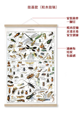 有害和有益昆虫装饰画自然科学挂画生物学习海报复古虫子科普画