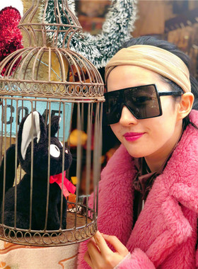 太阳镜夹脸遮阳防风复古女