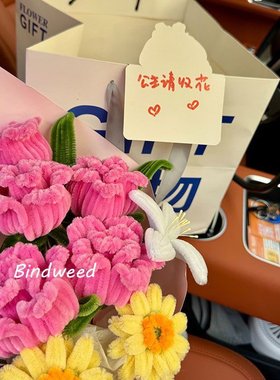 广志送美芽的花情人节手工扭扭棒花束diy玫瑰材料包送女朋友礼物