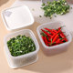 Refrigerator garlic storage box NANNOHOME
