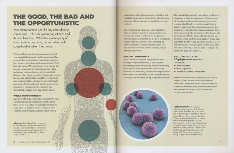 Meet Your Bacteria 遇见你的细菌 儿童英语百科全书 小学生课外英语阅读读物 认识微观世界细菌 了解人体细菌作用 英文原版进口 - 图1