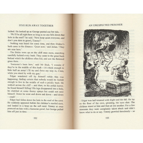 The Famous Five 1-21 五个小伙伴历险记三和一合集7册 Enid Blyton伊妮德·布莱顿 儿童章节小说 英文原版进口 - 图3