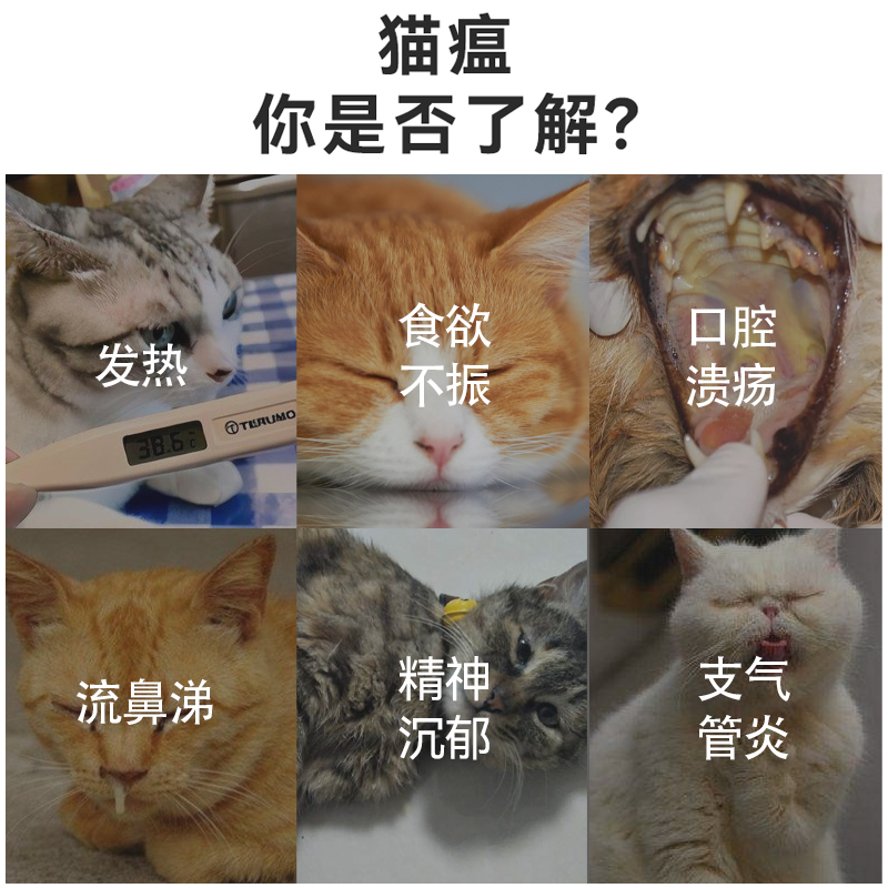 普泰生物猫杯状病毒检测板FCV试纸条嵌杯病毒呼吸道疾病正规批号-图2