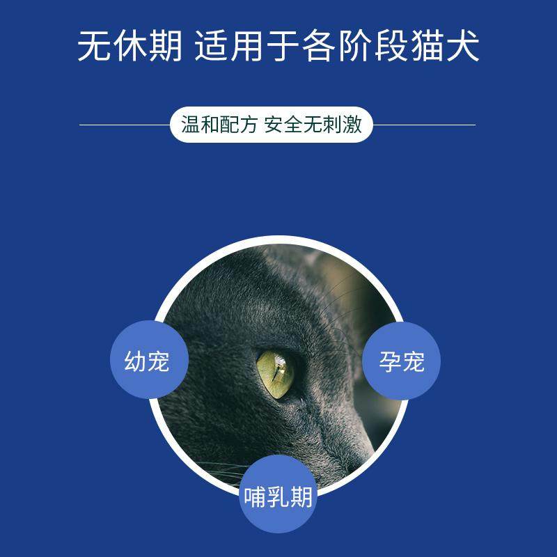 京霸布拉迪酵母益生菌猫咪狗狗益生菌调理肠胃软便肠胃调理肠道菌,淘宝优惠券,粉丝福利购,淘宝优惠卷