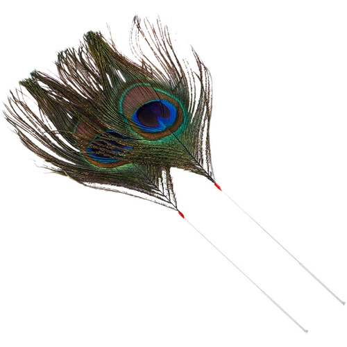 Высокий инструмент для выбора ушей Серебряный иголка куриная пор павлин Королевский ушной канал