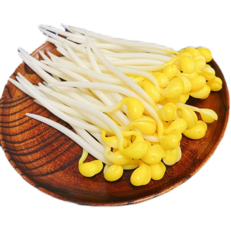 仿真豆芽模型假蔬菜绿黄植工艺品家居摆饰拍摄火锅菜品装饰玩道具,淘宝优惠券,粉丝福利购,淘宝优惠卷