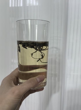 仿真绿茶饮料杯模型影视剧假道具