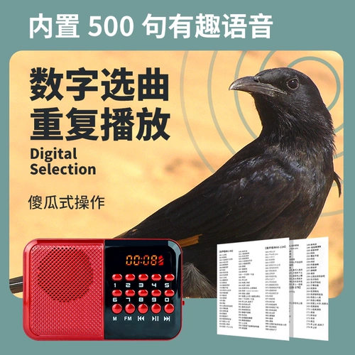 Penalian Akihiya Young Bird Learning Machine Machine Parrot