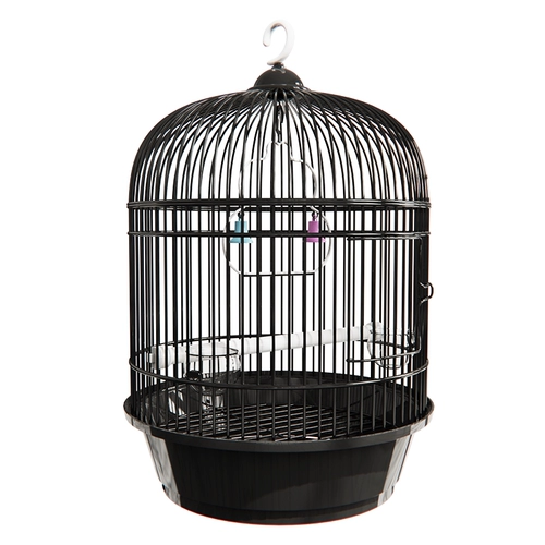 Птичья клетка попугай из руки клетки, чтобы принести домашнюю клетку для попугая, пион, пион, феникс, птица, круглая птица