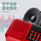 Penalian Akihiya Young Bird Learning Machine Machine Parrot