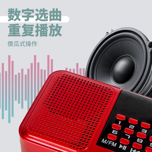 Penalian Akihiya Young Bird Learning Machine Machine Parrot