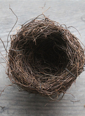 小鸡鸟窝居家橱窗摄影道具摆件