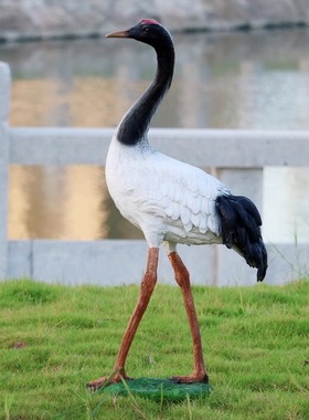 仿真仙鹤雕塑园林丹顶鹤摆件花园装饰别墅庭院池塘玻璃钢景观小品