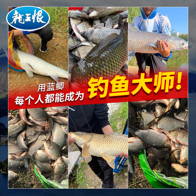 Field blue crucian carp fishing bait official flagship store genuine product