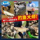Field blue crucian carp fishing bait official flagship store genuine product