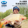 Dragon King hates granular bait grass carp granular bait black pit carp herring granule fishing lazy man wild fishing granular bait