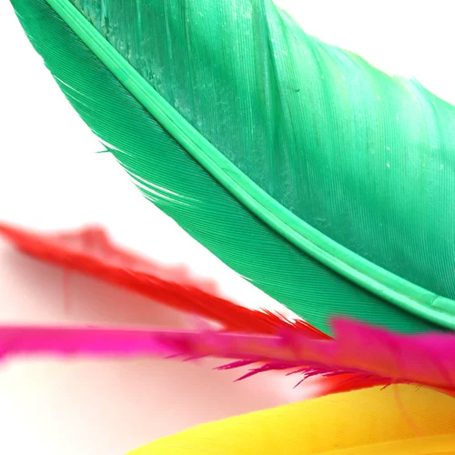 Грасссон Большой Цвет Гуси Перья пельмени, большие цветы, большие цветы, большие шарики, утолщенное сухожили