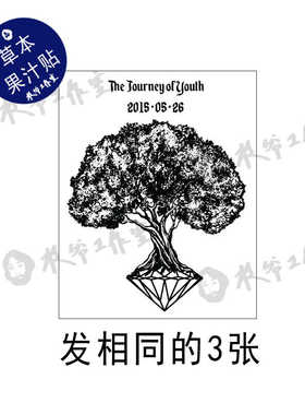 持久防水纹身贴草本果汁克拉