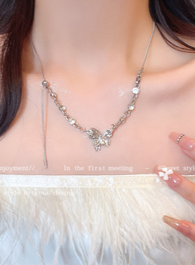 蝴蝶锆石流苏项链女秋冬2025年新款爆款配饰轻奢小众高级感卫衣链