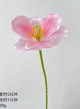 3D开花郁金香仿真花假花花束装饰花结婚礼物干花客厅摆件家居饰品