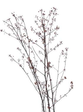 屿物为居 现代简约奶油风样板间餐桌陶瓷花器烛台装饰摆件创意软