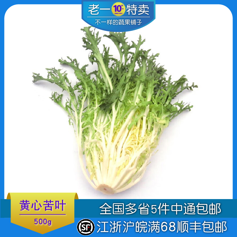 老一特卖 新鲜黄心苦叶苦菊生菜 九牙狗牙生菜沙拉蔬菜 500g - 图0