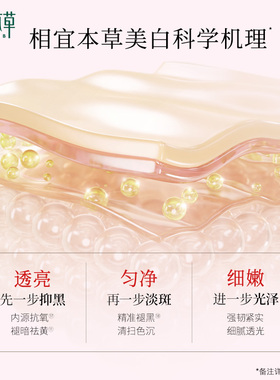 红景天美白紧致两部曲面膜