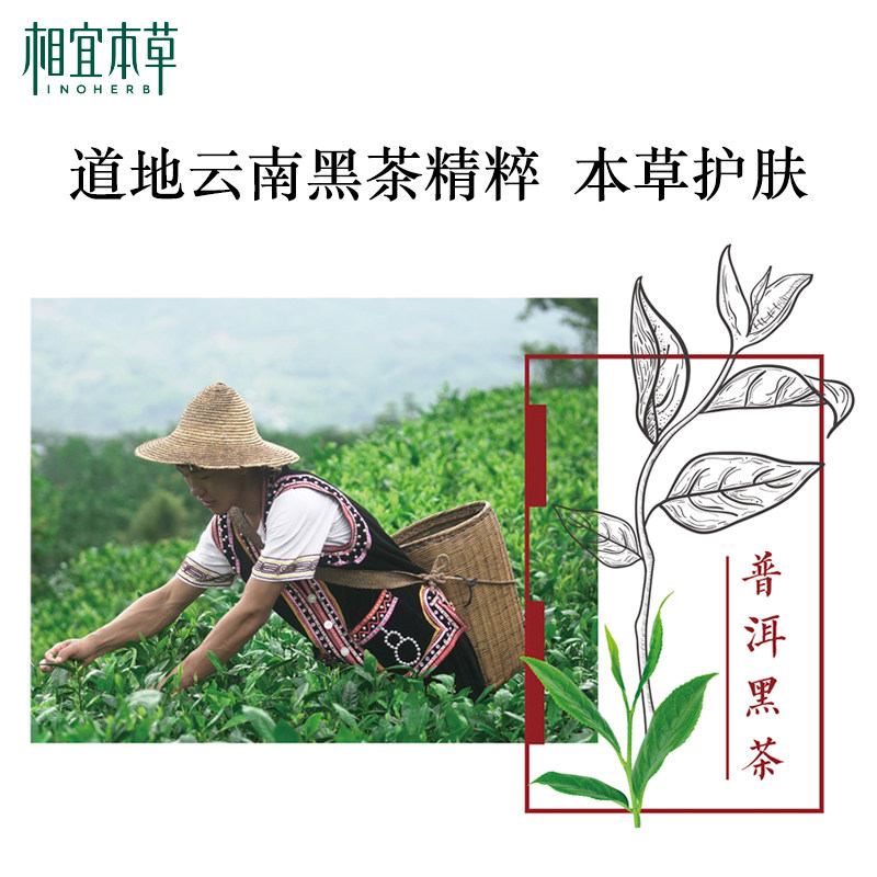 相宜本草黑茶男士保湿滋润补水乳液 相宜本草男士面部乳霜