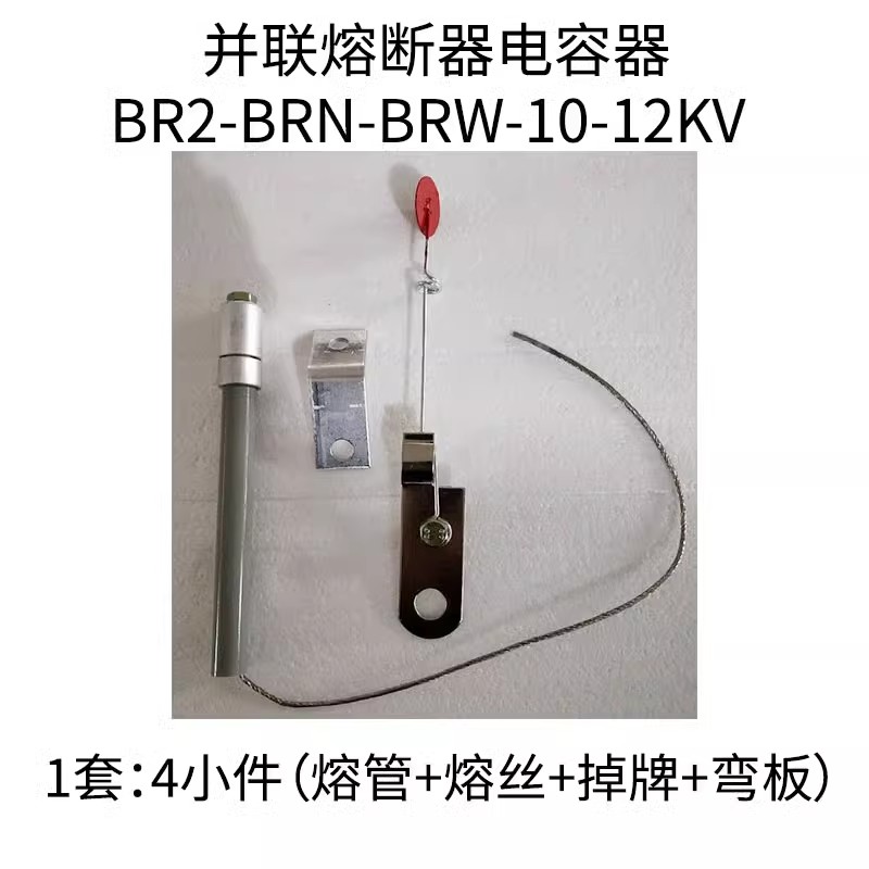 高压并联电容器30A40A50A70A80A保险丝熔断器BR2 BRN BRW-10-12KV - 图1