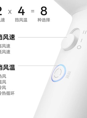 飞科高速电吹风机负离子FH6370