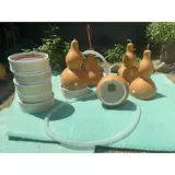 Упаковки аксессуаров Устройство тыквы оригинальное цвет большой базовый пост дома здоровья. Моксбайбибин