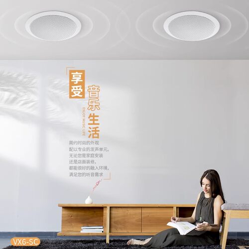 Hivi/惠威 VX6-SC 高低音同轴定阻吸顶喇叭双高音天花板吊顶音响 - 图3