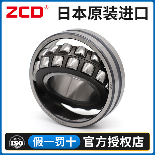 日本进口ZCD轴承22238 22240 22244 22248 22252 22256CAME4 CDE4 - 图1