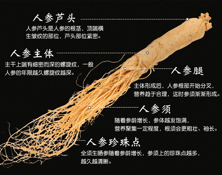 正宗长白山人参片250g 人参野山参切片 白参片 小片生晒非鲜人参 - 图2