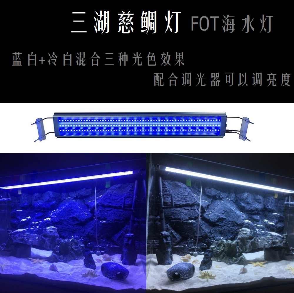 海水鱼灯 新人首单立减十元 22年9月 淘宝海外 海水鱼灯 新人首单立减十元 22年9月 淘宝海外