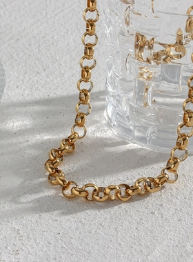 欧美ins摩登流行潮流气质手链锁骨链饰品 不锈钢粗圆环链条项链女