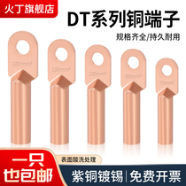 DT copper nose red copper wiring terminal copper wire nose cable ear copper nose wire ear connector tinned