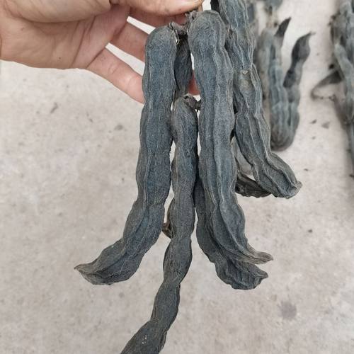 广西龙爪豆种子早熟狗爪豆高产狗仔豆种蔬菜种狗儿豆藜豆猫豆老虎 - 图0