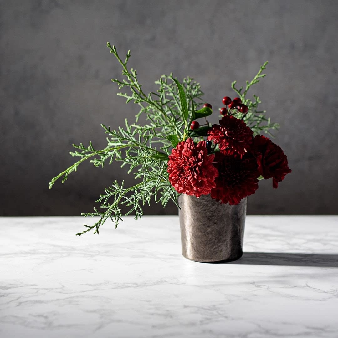 日本国礼sus gallery高档手工真空隔温纯钛威士忌杯保冷保温送礼-图1