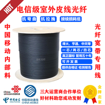 Long Flight Midday Hentong Peak Fire Telecom Outdoor Single Mode Butterfly 1 Core 2 Core 4 Core 3 Steel Wire Piping Leather Line Fiber Optic Cable