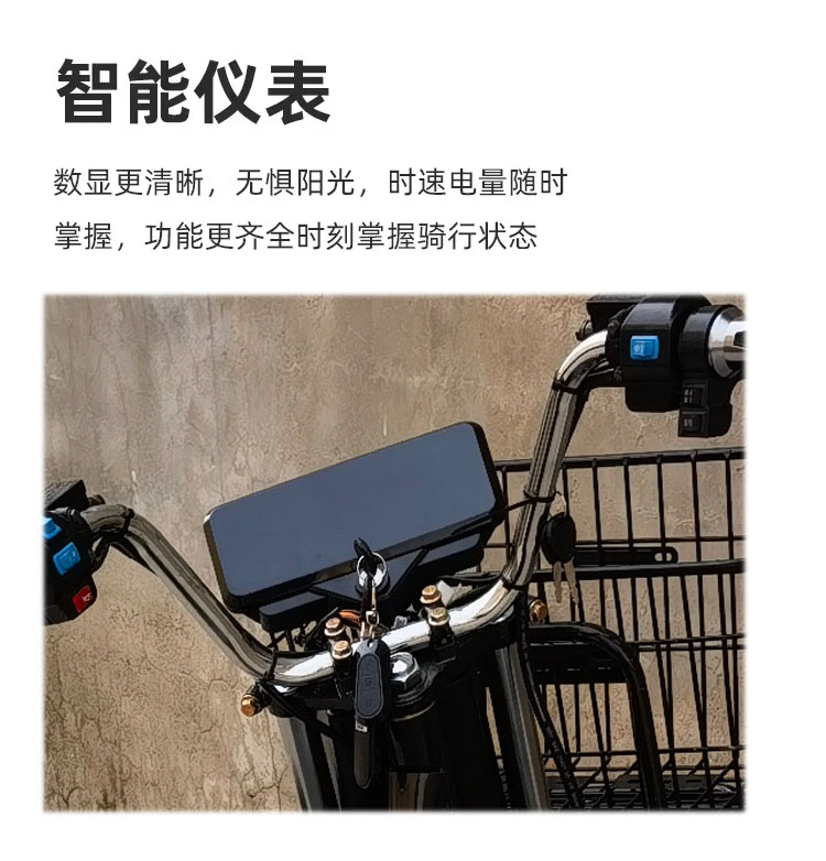 高速电动三轮车长跑电瓶代步车家用农用货车载重王拉货牛马大力神