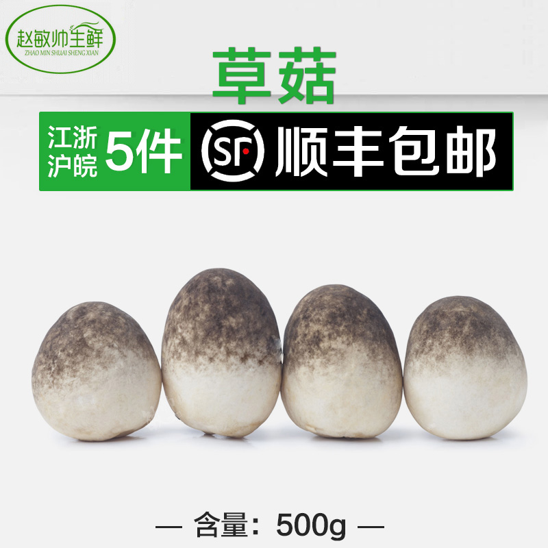 盒装菌菇  非新鲜草菇 兰花菇500g 盐水浸泡草菇 江浙沪5件包邮 - 图0