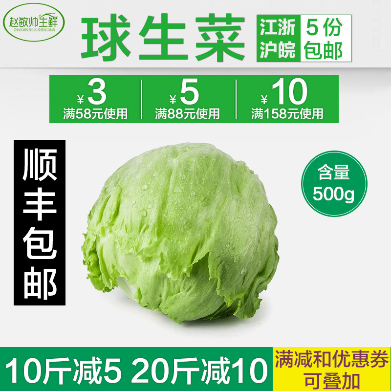 球生菜500g新鲜蔬菜西圆生菜5件包免邮轻食汉堡包沙拉色拉菜 - 图0