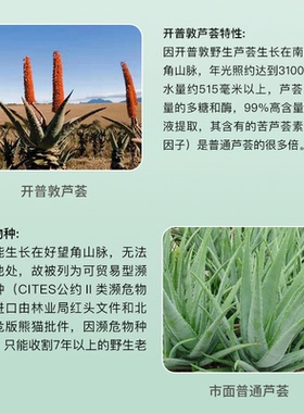 南非开普大师Mr.Cape野生芦荟胶天然99%补水保湿消痘晒后修复