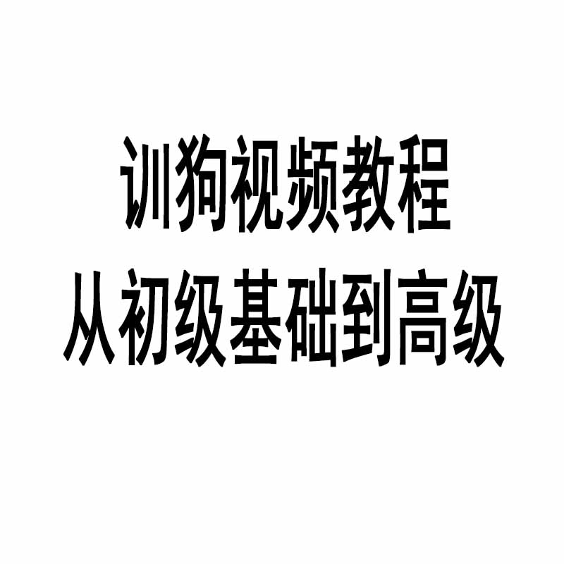 训狗教程视频从零基础到高级训犬课程宠物狗狗训练幼犬 - 图2